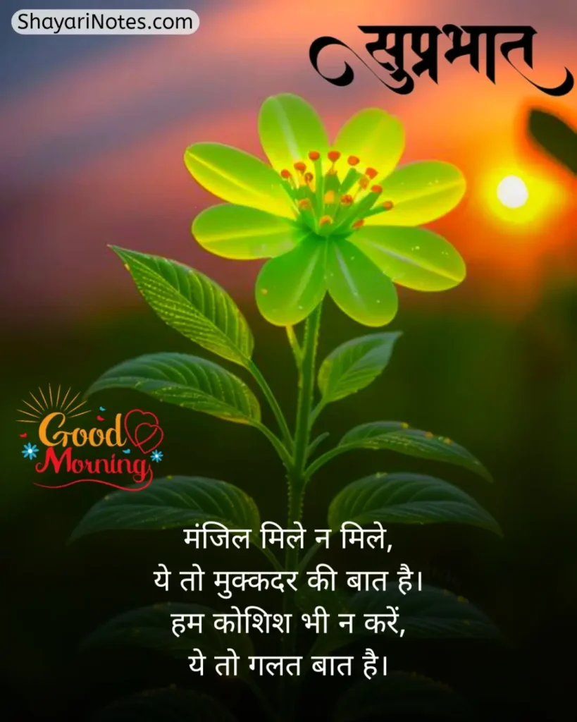 Good Morning Shayari In Hindi
Good Morning Shayari
Good Morning With Shayari
Good Morning Hindi Shayari
Good Morning In Hindi Shayari
Good Morning Shayari Hindi