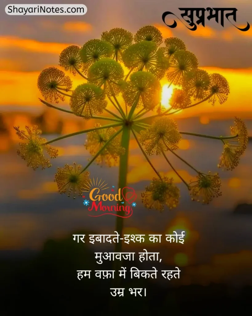 Good Morning Shayari In Hindi
Good Morning Shayari
Good Morning With Shayari
Good Morning Hindi Shayari
Good Morning In Hindi Shayari
Good Morning Shayari Hindi