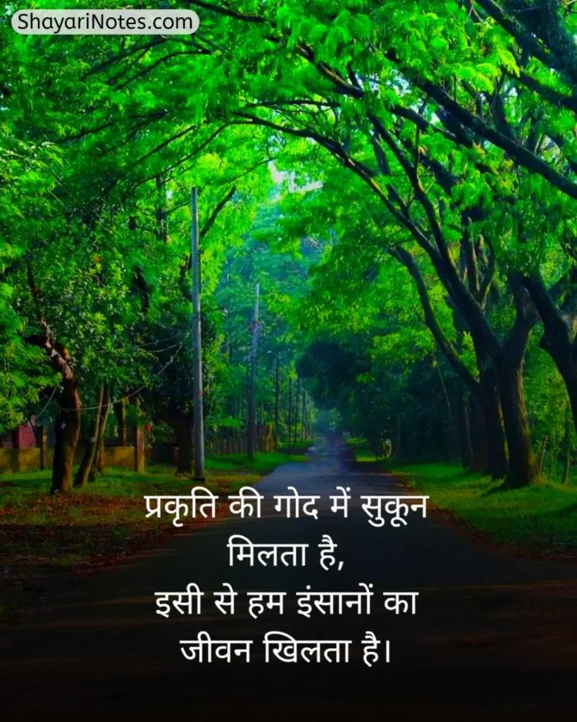 Nature Shayari In Hindi
Nature Shayari
Nature Love Shayari
Nature Lover Shayari In Hindi
खूबसूरत नजारा पर शायरी
प्रकृति पर शायरी दो लाइन
Nature Beauty Shayari