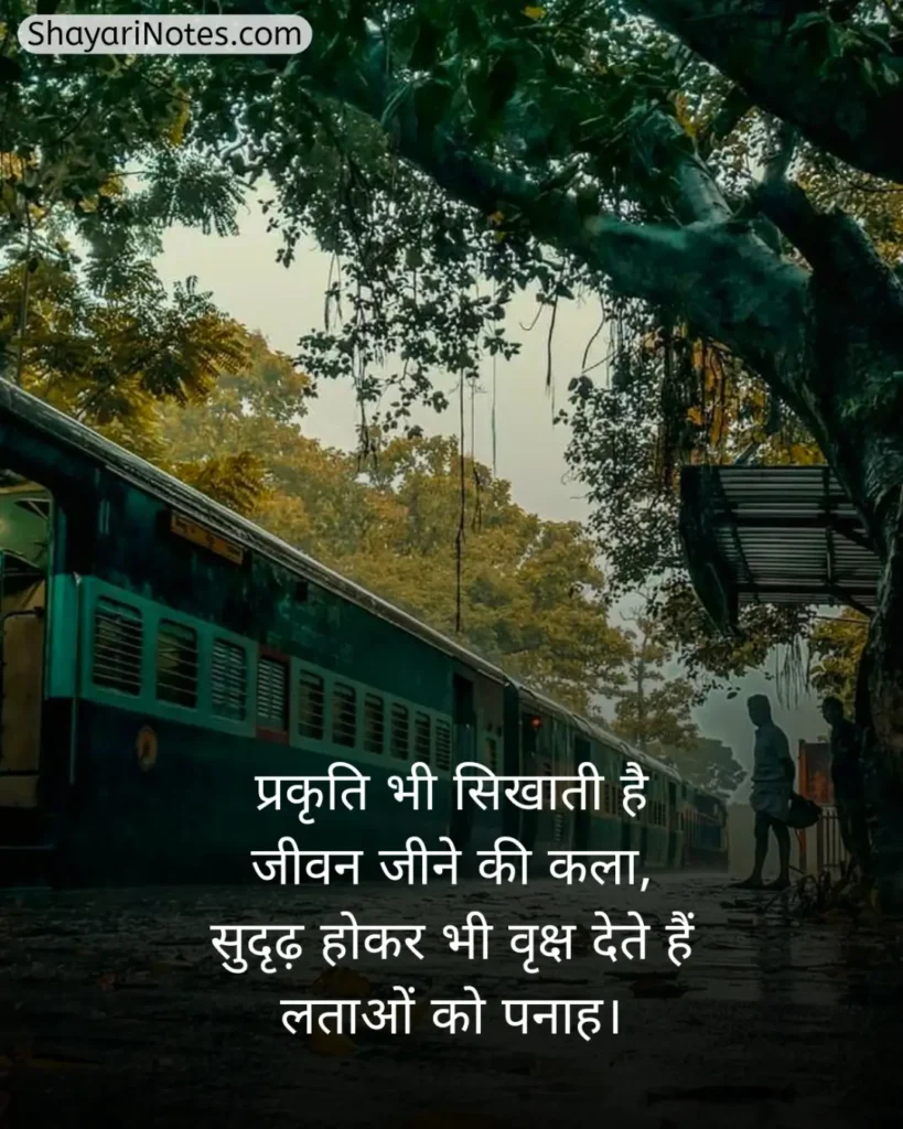 Nature Shayari In Hindi
Nature Shayari
Nature Love Shayari
Nature Lover Shayari In Hindi
खूबसूरत नजारा पर शायरी
प्रकृति पर शायरी दो लाइन
Nature Beauty Shayari